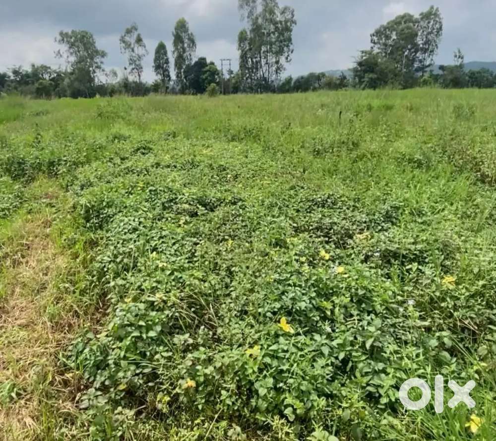 Land for sale Nagrota Bagwan