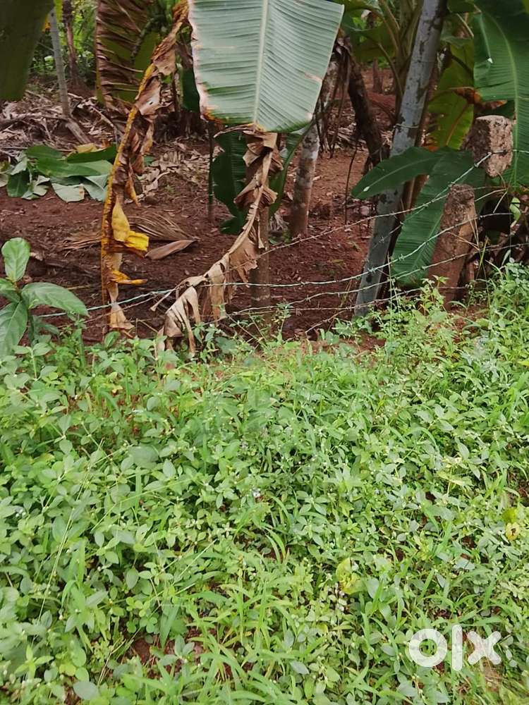 10 CENT LAND FOR SALE KARANTHUR KOZHIKODE