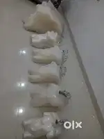 Total 79 Dummy