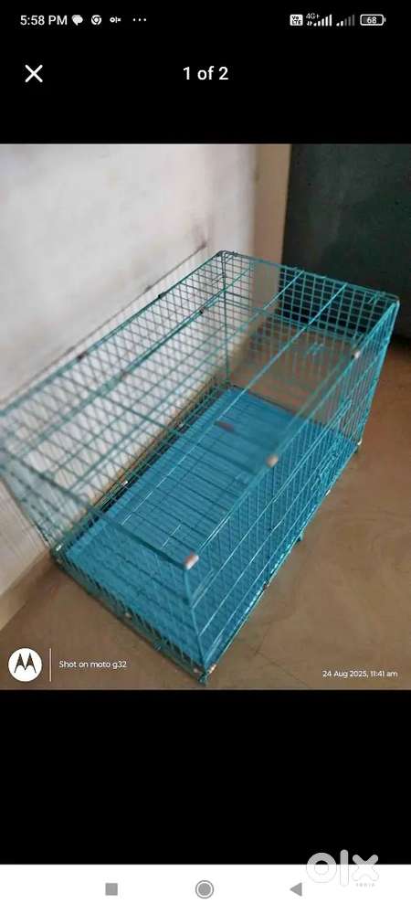 Cage for sale