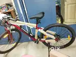 Emotorad X1 limited edition