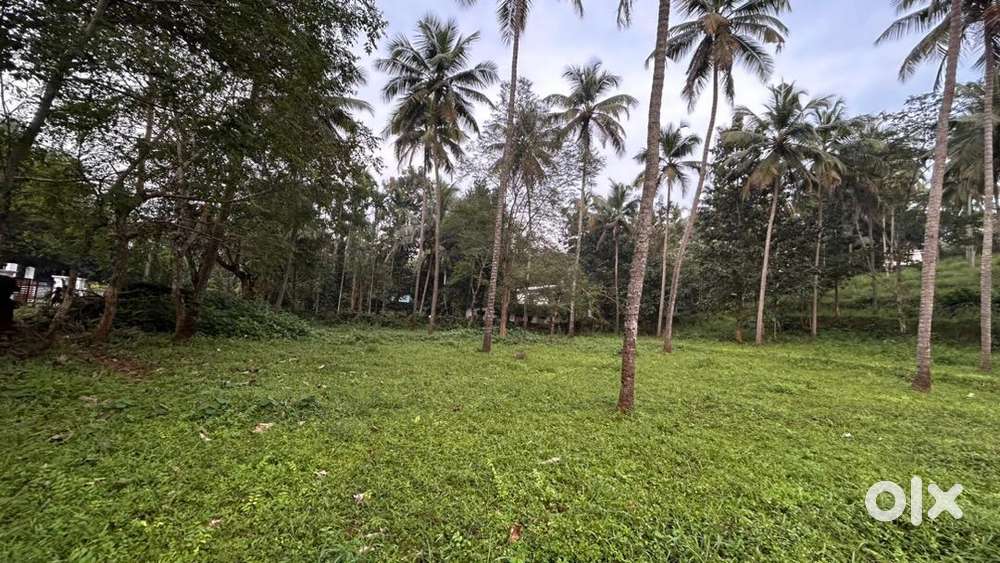 Plot for sale in Angadipuram