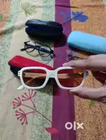 Eyeglasses & Sunglasses
