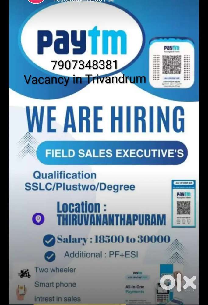 Sales officer at Paytm (Male)