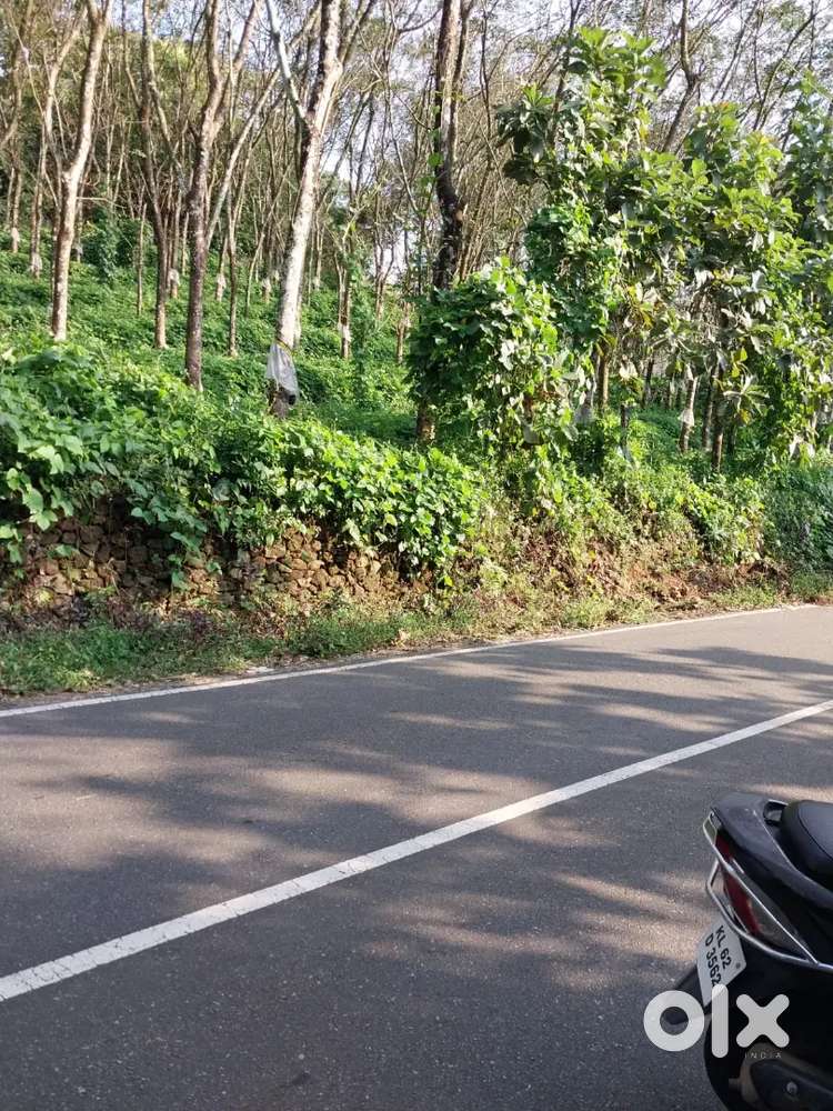 1 Acre Roadside Plot for Sale –