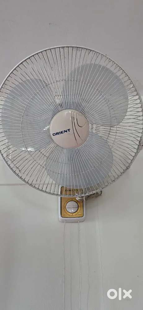 ORIENT Wall 43 Fans – Good Condition