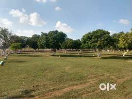 Land for Sale,Good for Commercial Hotels Lodge etc, or Residential.