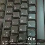 Collection executive