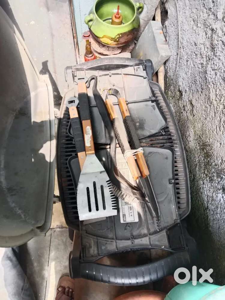 Weber Q300 Titan grill