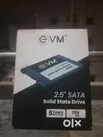 256GB SSD (VM 2.5 SATA)