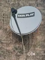 Old tv and free dish