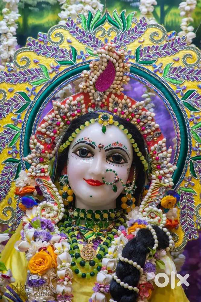 One 1 BHK & one 2 BHK available for rent from 01.12.2025