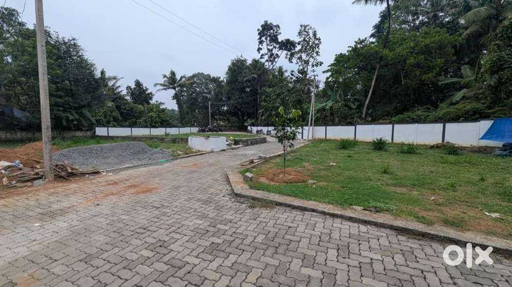Angamaly–Puliyanam Church Near Premium Villa Plots Free Reg ₹3 Lakh DP