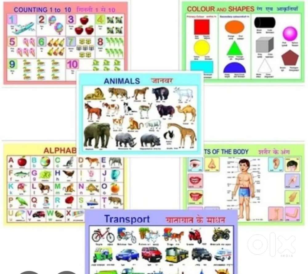 Required female class teacher Nursery to X