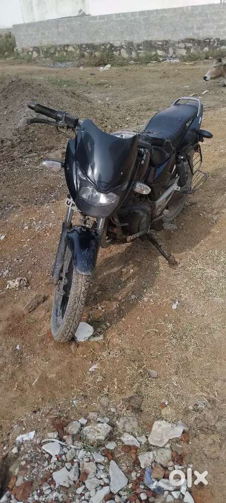 Oil sil dalegi men stend dalega ek or betri dalegi