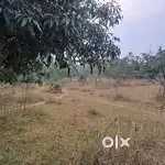 Agricultural Land 7 acres