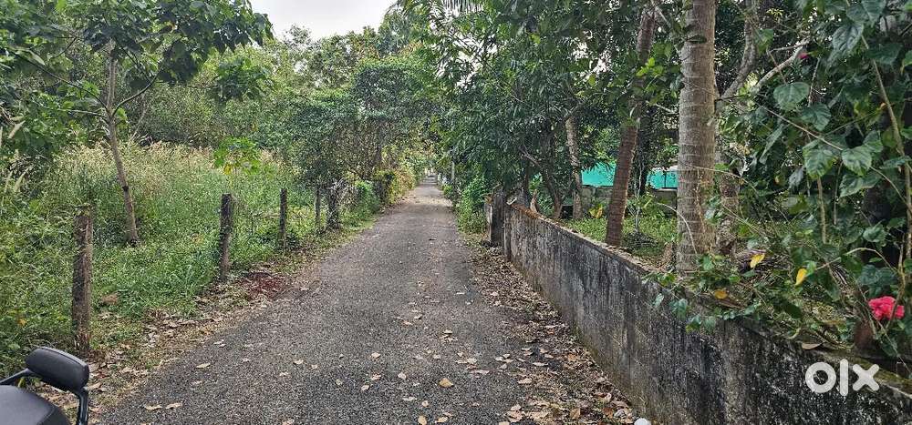 7 cent developed house plot  at Varadiyam.