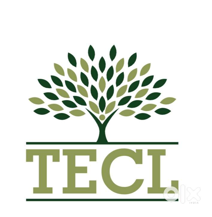 Accountant with knowledge Tally and tax