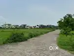 Bsf plotting 25ft road 12000/ square yard