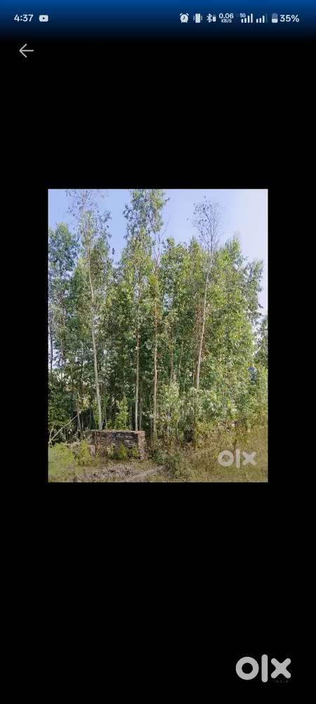 BEST PLOT FOR BUISNESS OR BIG HOUSE. NEAR GOLA MAIN ROAD .