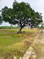 Residention plot Sale in Meerut Road, Ghaziabad