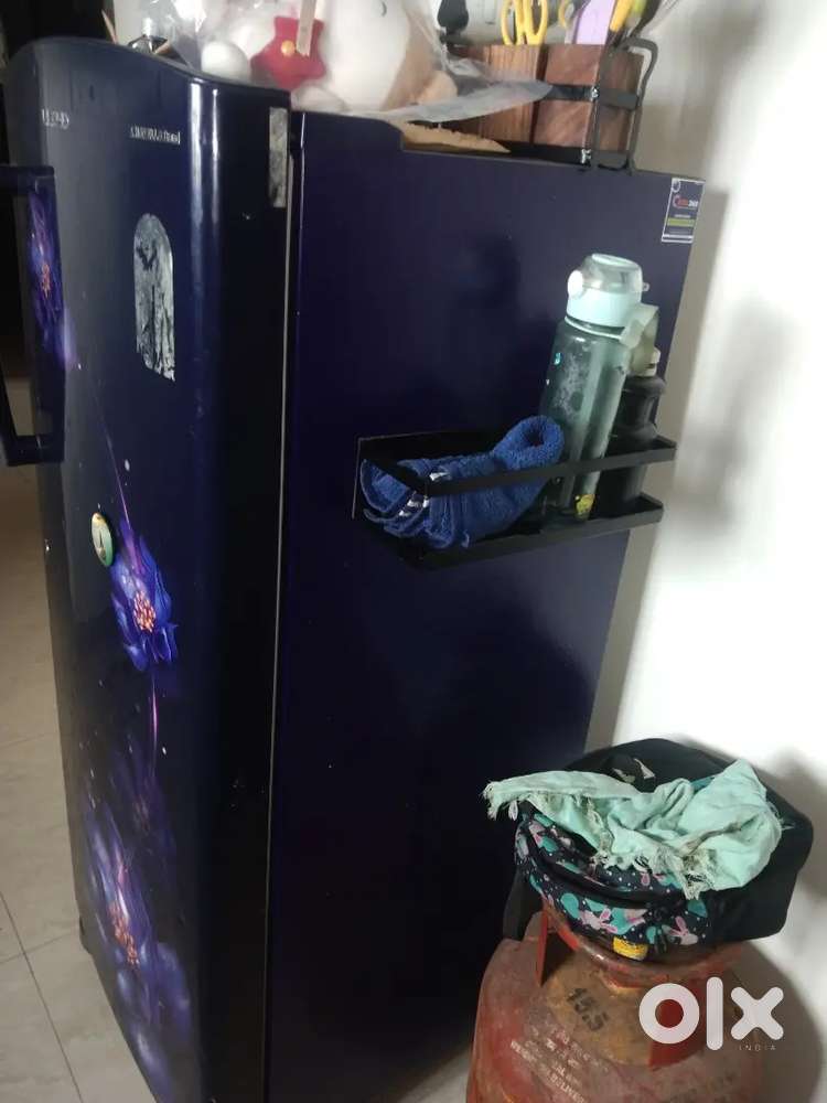 Lloyd fridge 2 years old