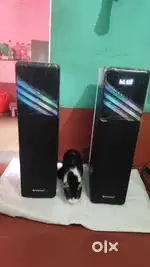 Clarion Box