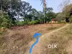 22 cent plot for sale in Nedumpana, Kollam