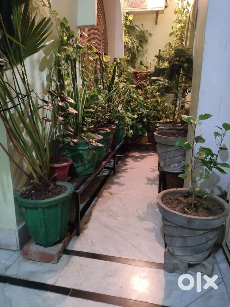 1 Hall + Room + Open Kitchen 1st Floor Portion for Rent