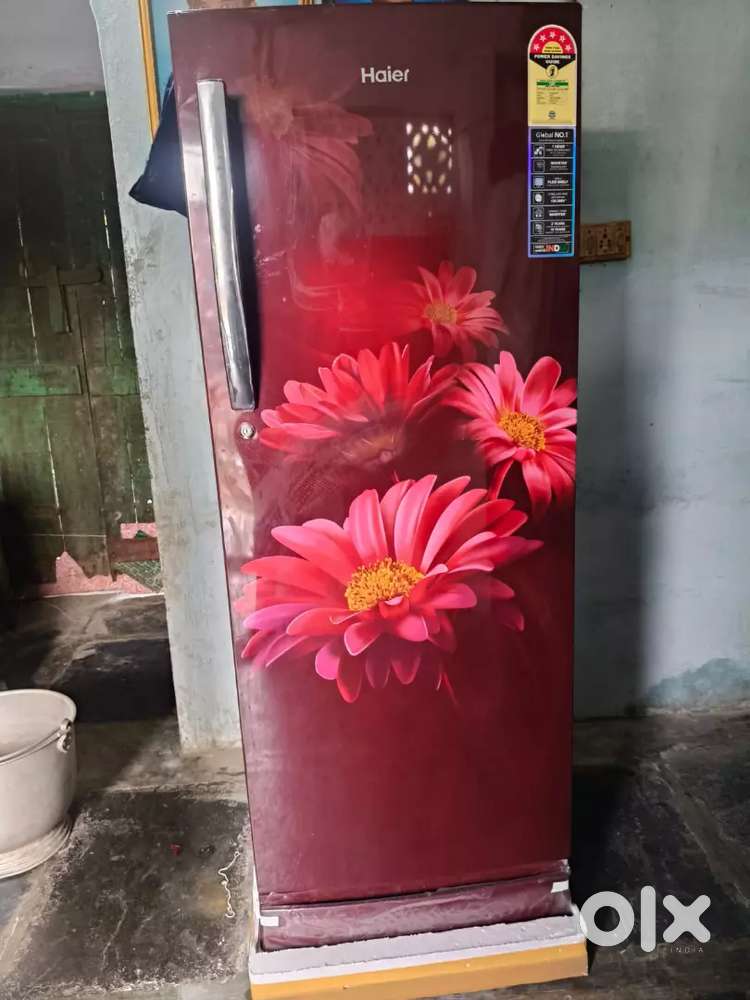 Haier new fridge