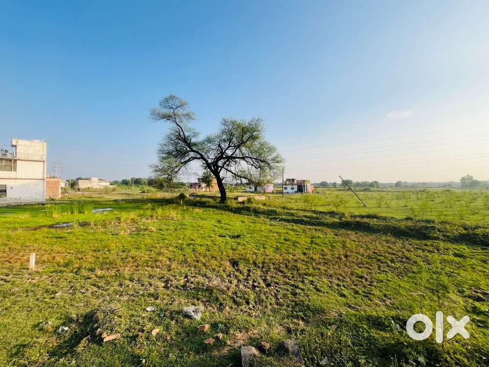 Urgent plot for sale