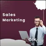 Marketing field job