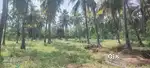 For cow ,hen,goat farming