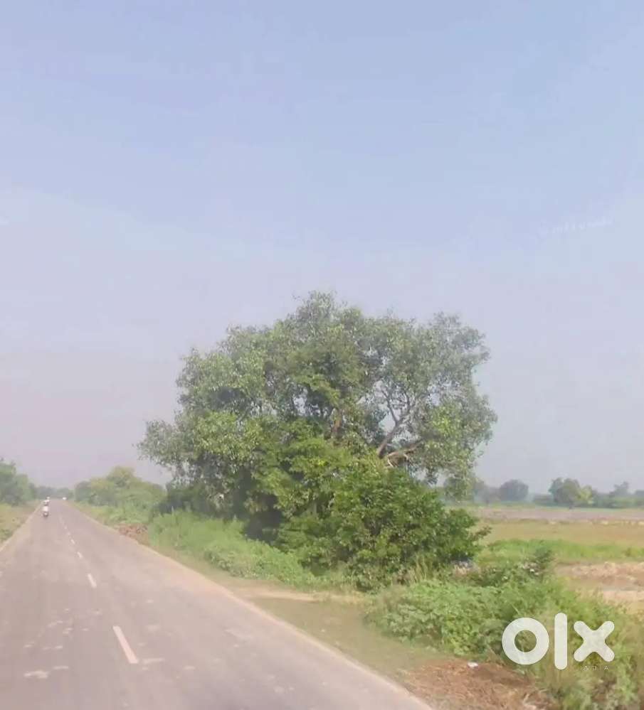 Plot Post men market Post size. =56 =100 total sqf Mobile no Rate .