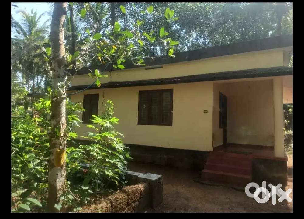 House for rent only 5000 mannankavu naduvannur