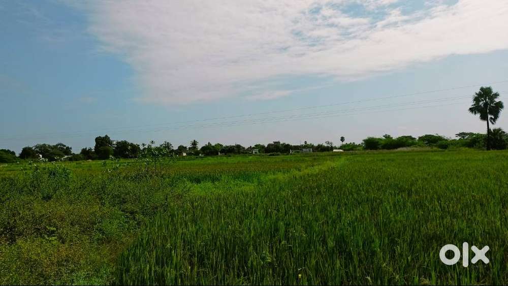 21 lakh per Acre Only,2 Acres Agriculture land for sale