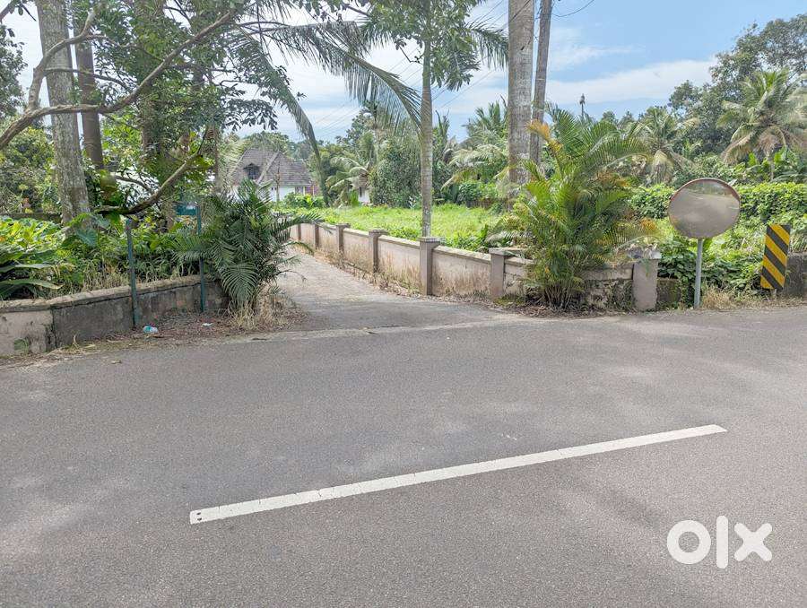 Land 10 cents old MC road Caritas 6.75 lakh/cent