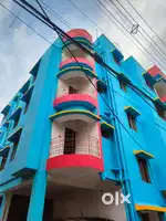 Discover a new dream