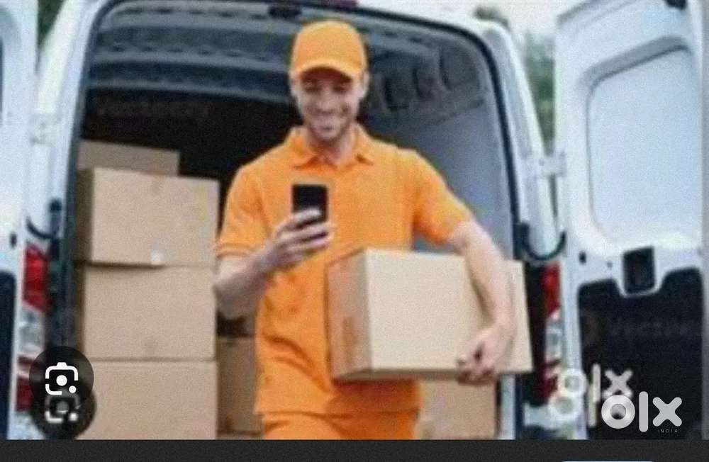 Parcel van helper
