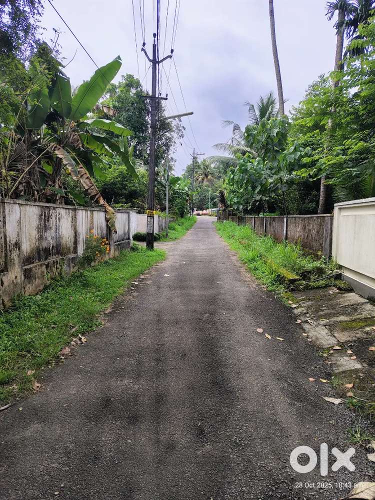 Residential plot at Iringole perumbavoor