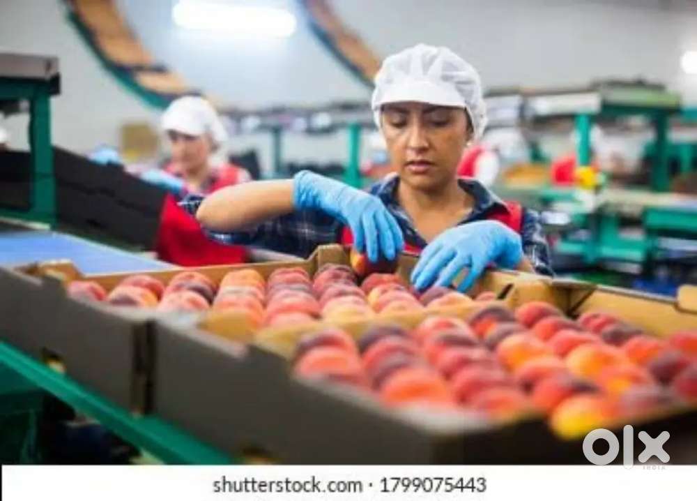 Patakha warehouse packaging job