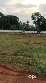 Low-cost panchayati approved site for sale in Revidi village