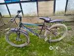 FLAMINGO BIKES