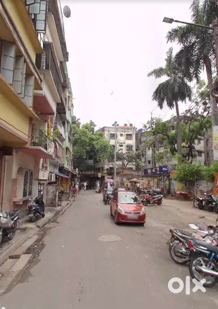 New Alipore Rent: Flat  / Shop / Office all types available