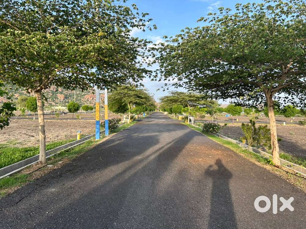 1200 sqft Corner Plot in Manvi, Karnataka