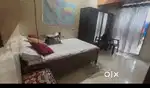 Bed of ply and sagwan mix