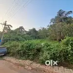 9000m2 old settlement plot For sale in Ashwem