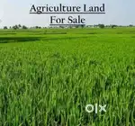 105Acres Land for Sale @ Very Low Cost only @ 4 Lakhs Per Acres
