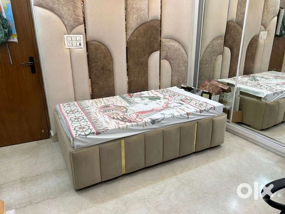 Double bed Sofa Cum bed