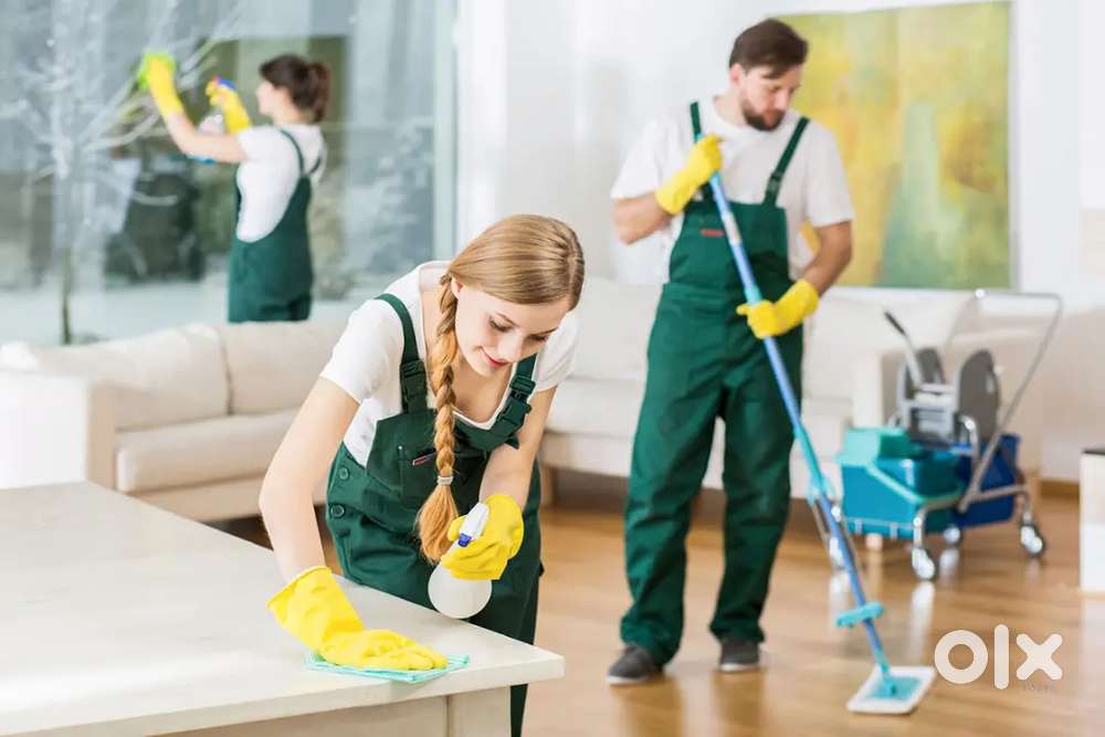 Full home cleaning work